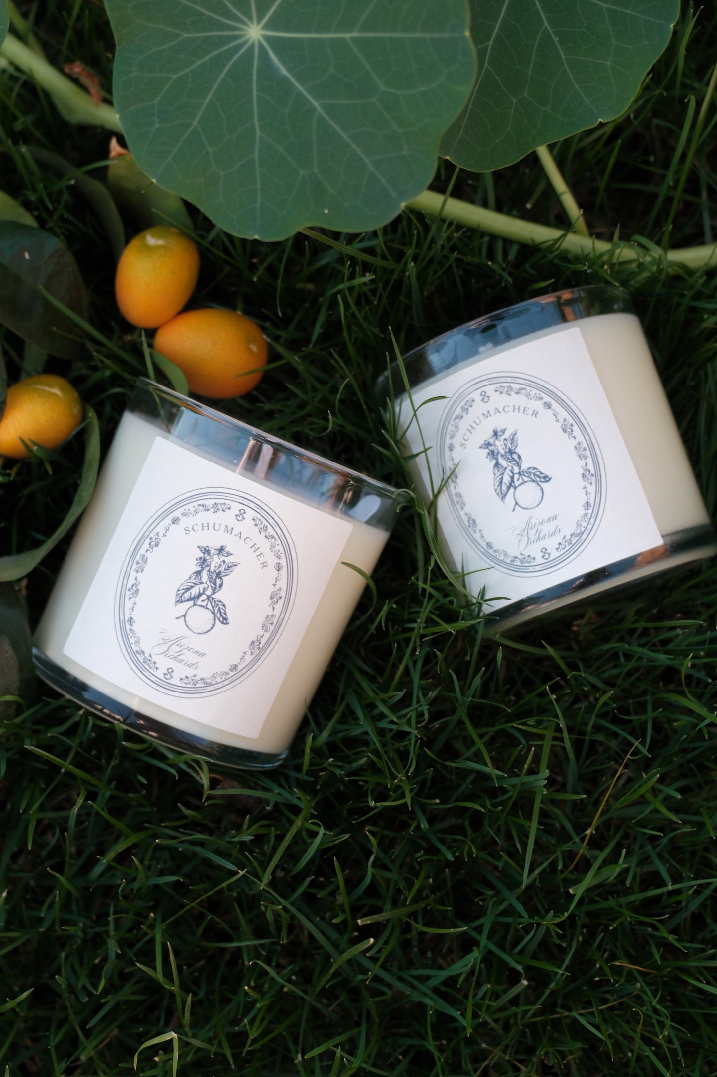 Arizona Orchards 7 ounce