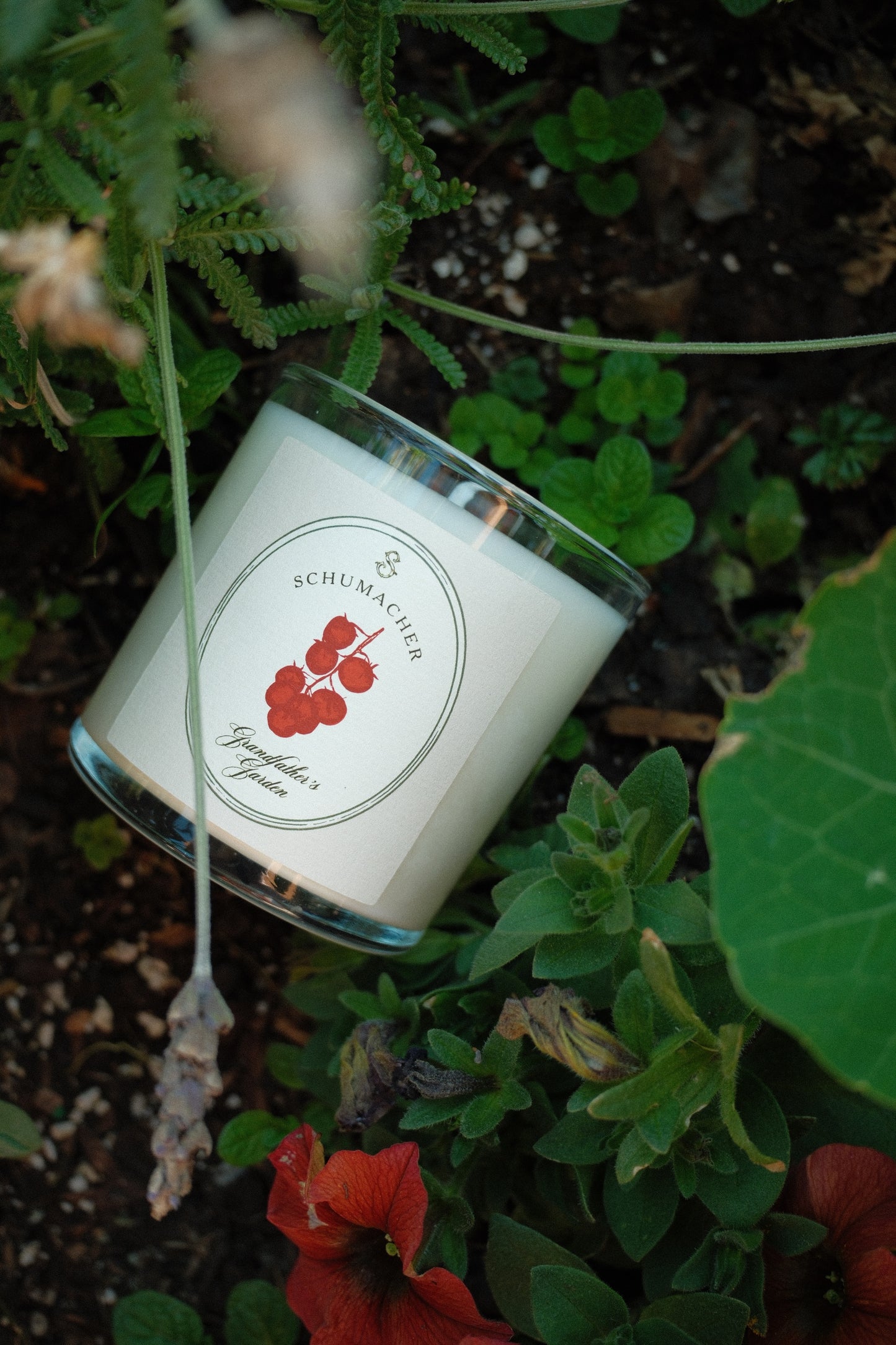 Grandfather's Garden