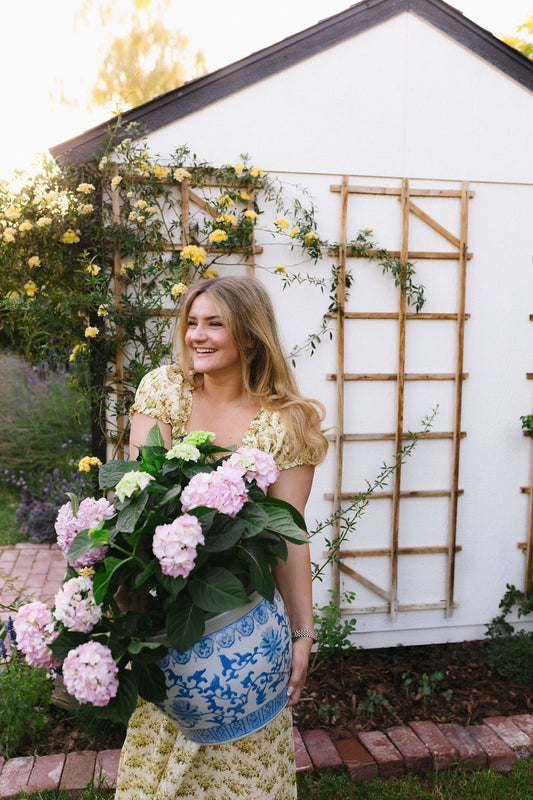 Virtual Hostess Consultant